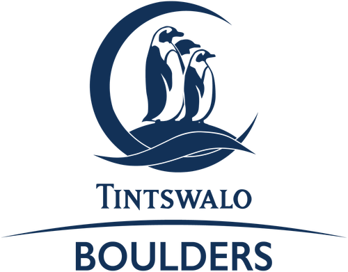 Tintswalo