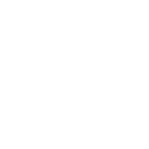 Taj Hotel Hessischer Hof